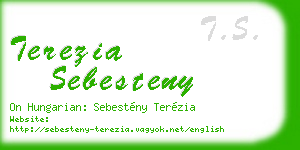 terezia sebesteny business card